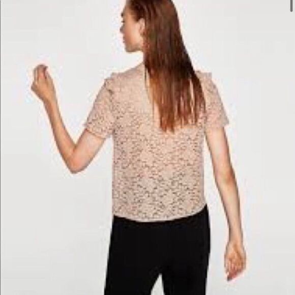 Zara Guipure Lace Ruffled Top in Pink Large - Picture 4 of 7